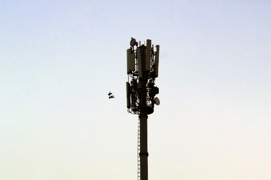 A photograph of a mobile tower, indicative of internet providers